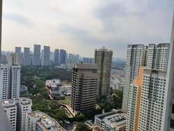 Highline Residences (D3), Condominium #456236161